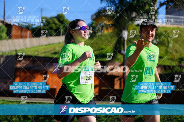 Vale Verde Run 2024