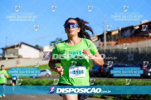 Vale Verde Run 2024