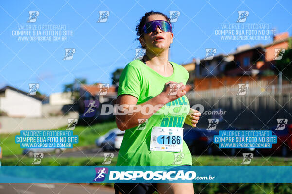 Vale Verde Run 2024