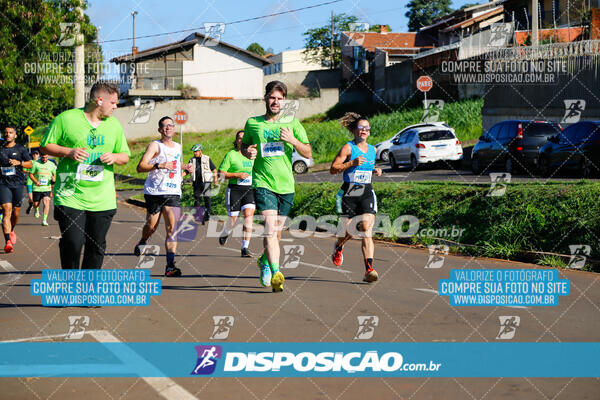 Vale Verde Run 2024