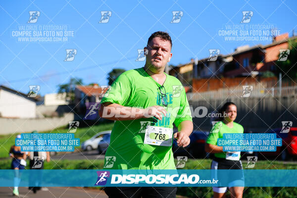 Vale Verde Run 2024