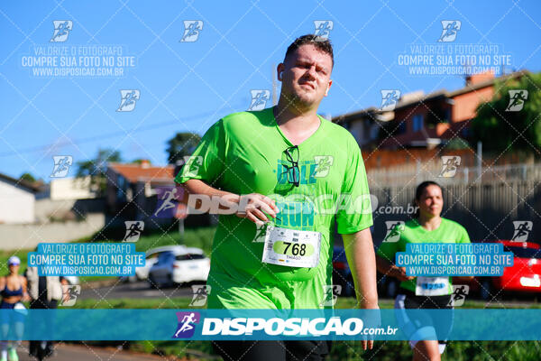 Vale Verde Run 2024