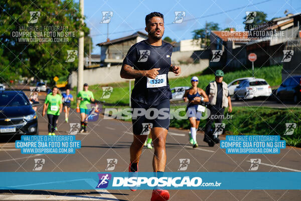 Vale Verde Run 2024