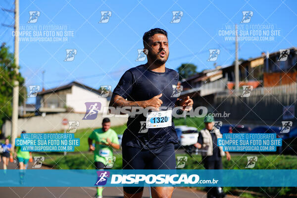 Vale Verde Run 2024