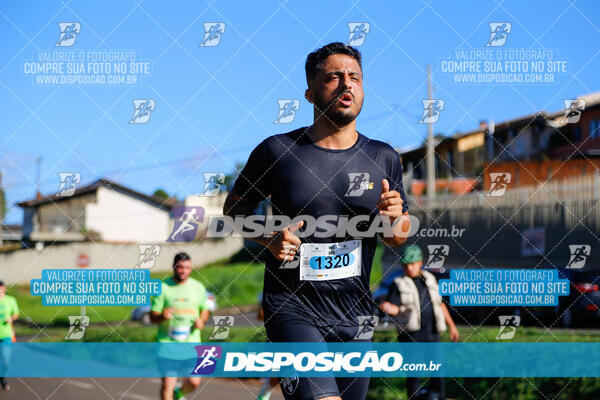 Vale Verde Run 2024