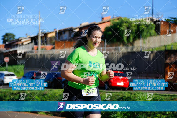 Vale Verde Run 2024