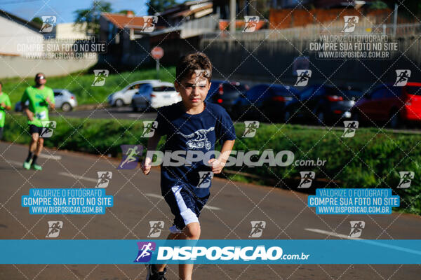 Vale Verde Run 2024