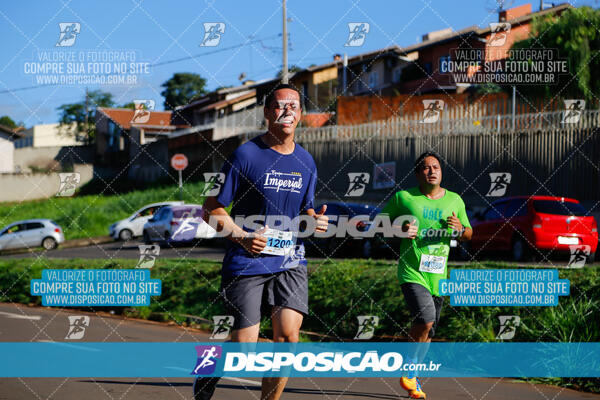 Vale Verde Run 2024