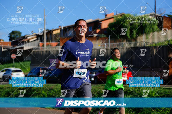 Vale Verde Run 2024