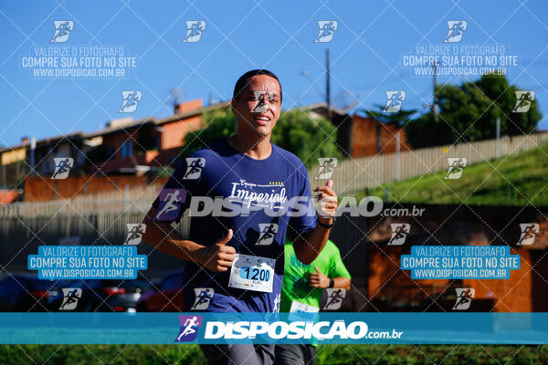 Vale Verde Run 2024