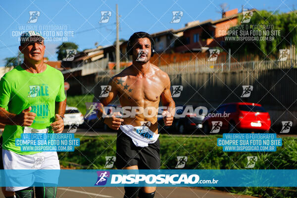 Vale Verde Run 2024