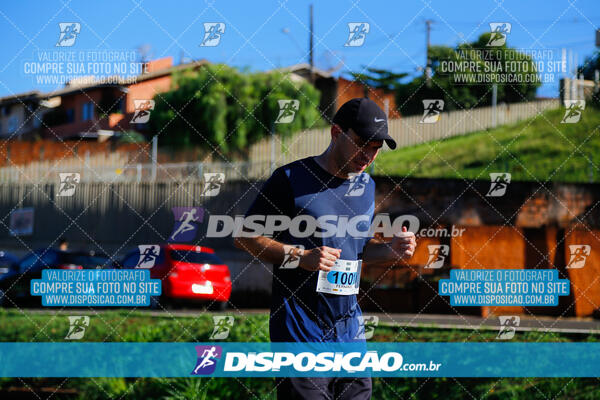 Vale Verde Run 2024