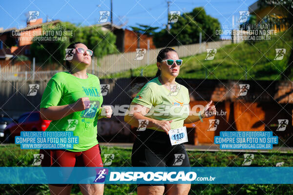 Vale Verde Run 2024