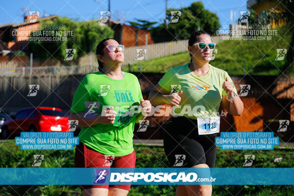 Vale Verde Run 2024