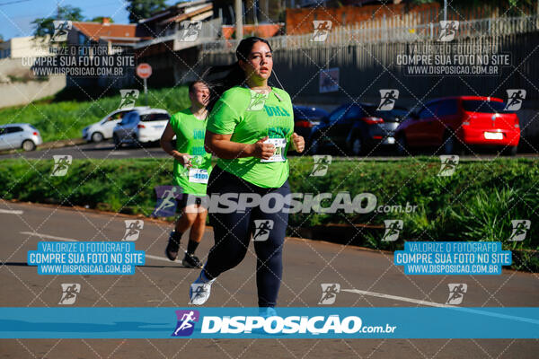 Vale Verde Run 2024