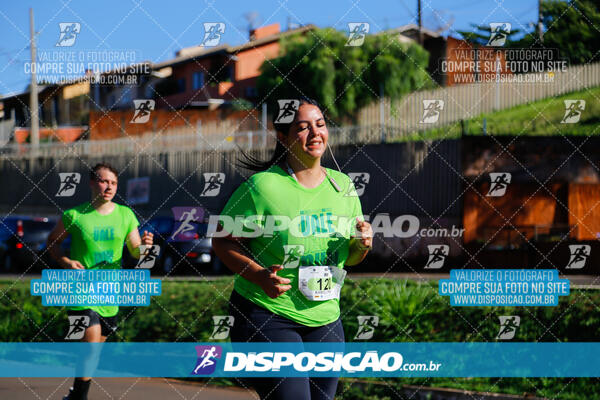 Vale Verde Run 2024