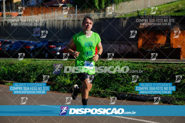 Vale Verde Run 2024