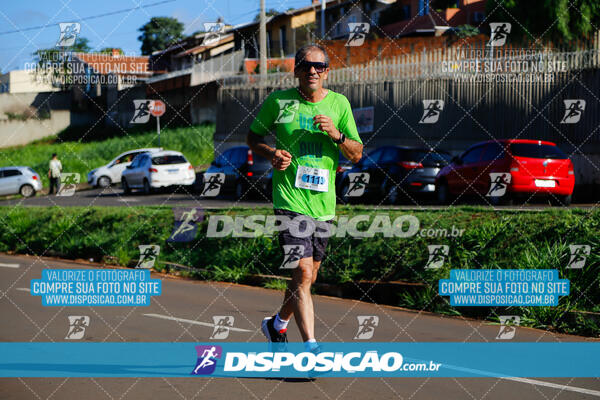 Vale Verde Run 2024