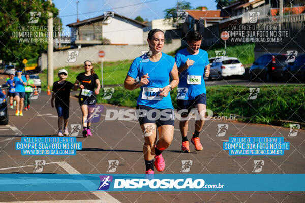 Vale Verde Run 2024