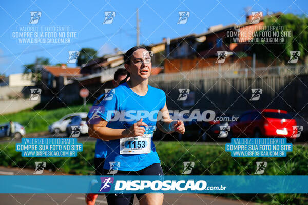 Vale Verde Run 2024