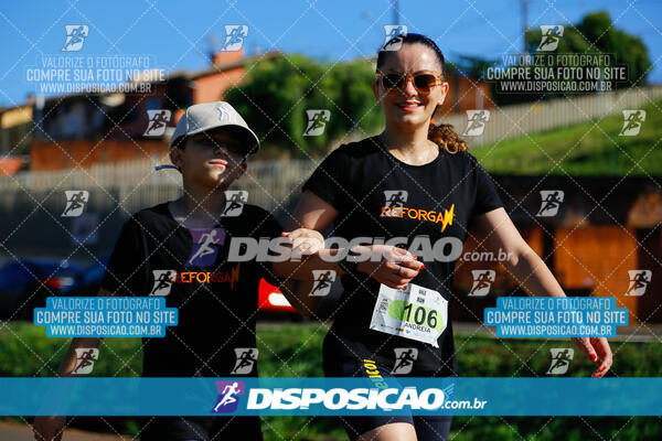 Vale Verde Run 2024