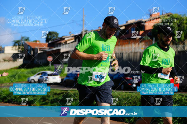 Vale Verde Run 2024