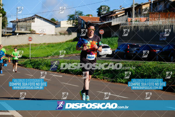 Vale Verde Run 2024