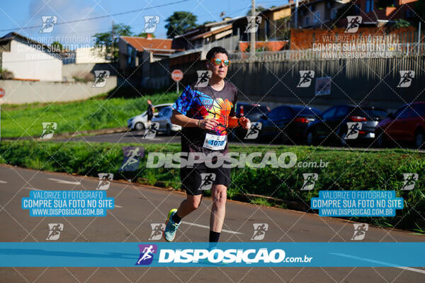 Vale Verde Run 2024