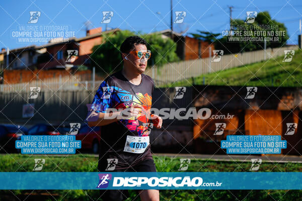 Vale Verde Run 2024