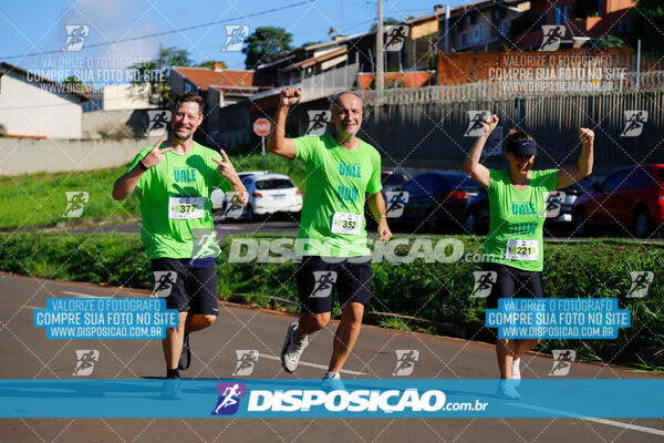 Vale Verde Run 2024