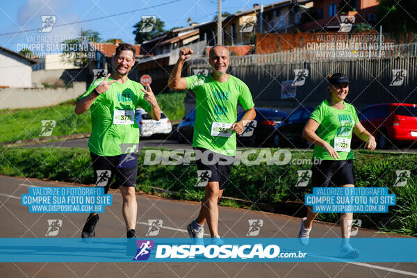 Vale Verde Run 2024