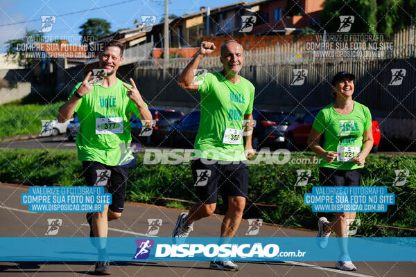 Vale Verde Run 2024