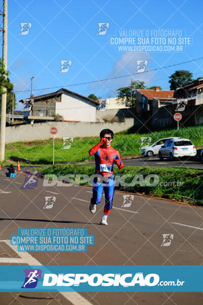 Vale Verde Run 2024