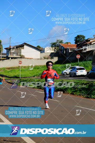 Vale Verde Run 2024