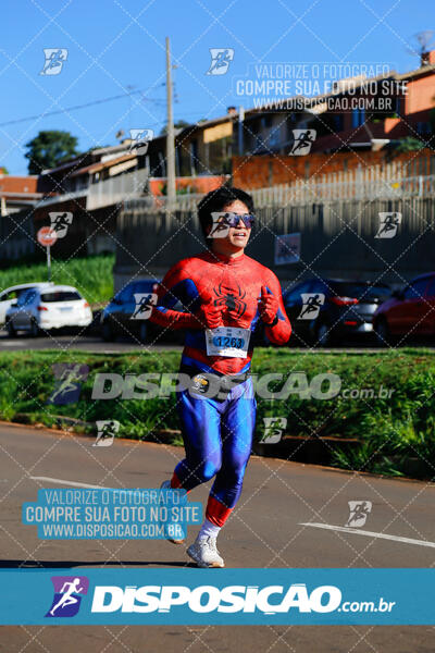 Vale Verde Run 2024