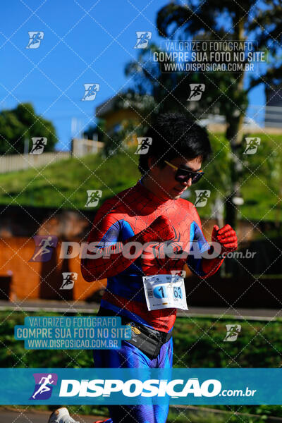 Vale Verde Run 2024