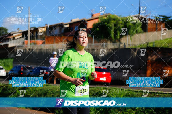 Vale Verde Run 2024