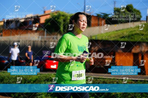 Vale Verde Run 2024