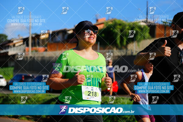 Vale Verde Run 2024