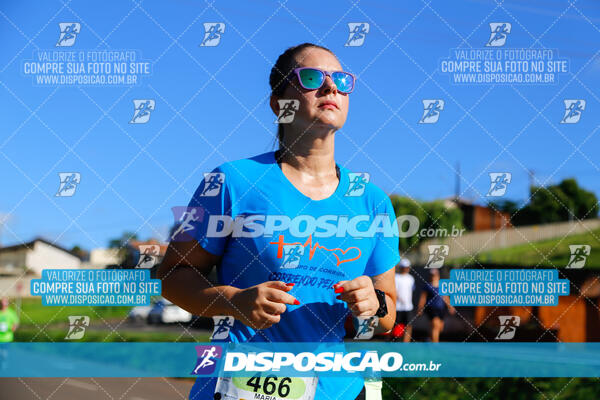 Vale Verde Run 2024