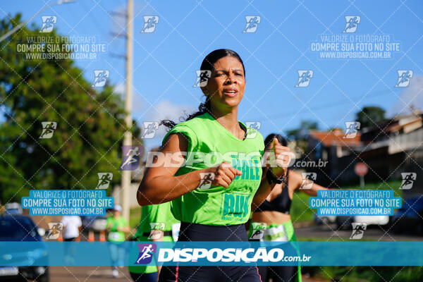 Vale Verde Run 2024