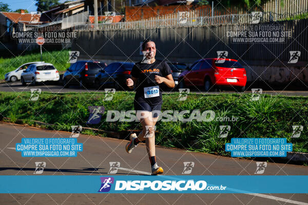 Vale Verde Run 2024