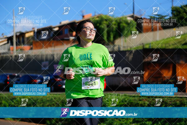 Vale Verde Run 2024