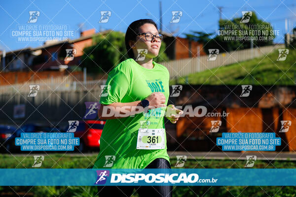 Vale Verde Run 2024