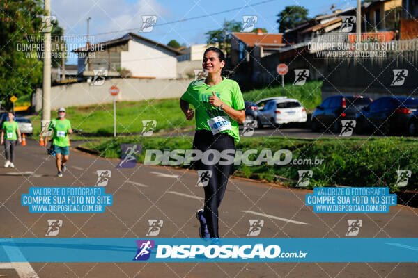 Vale Verde Run 2024