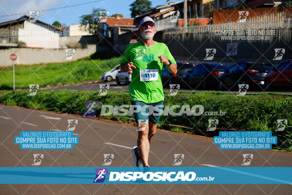 Vale Verde Run 2024