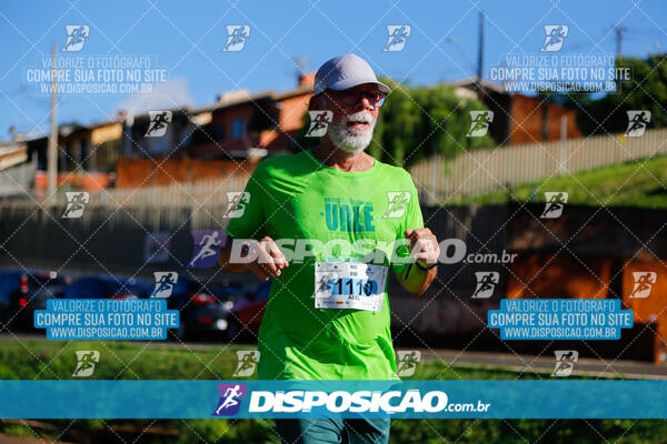 Vale Verde Run 2024