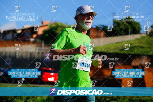 Vale Verde Run 2024