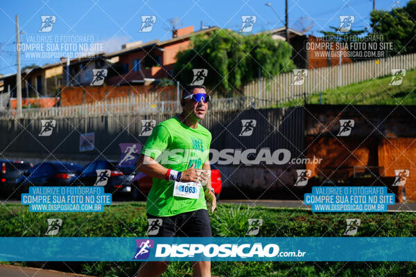 Vale Verde Run 2024