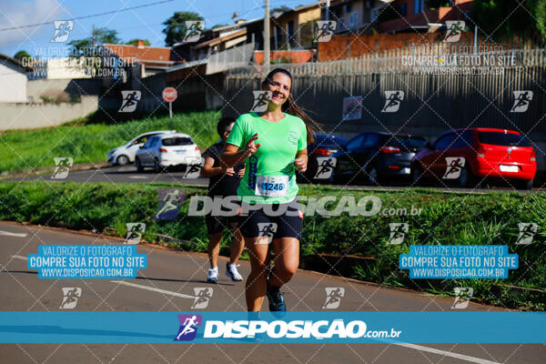 Vale Verde Run 2024